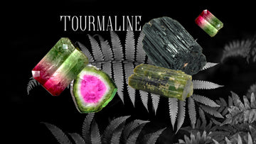 a variety of tourmaline on a background of black and white fern